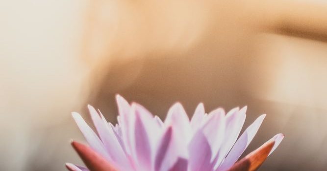 Healingsessioner kan hjälpa